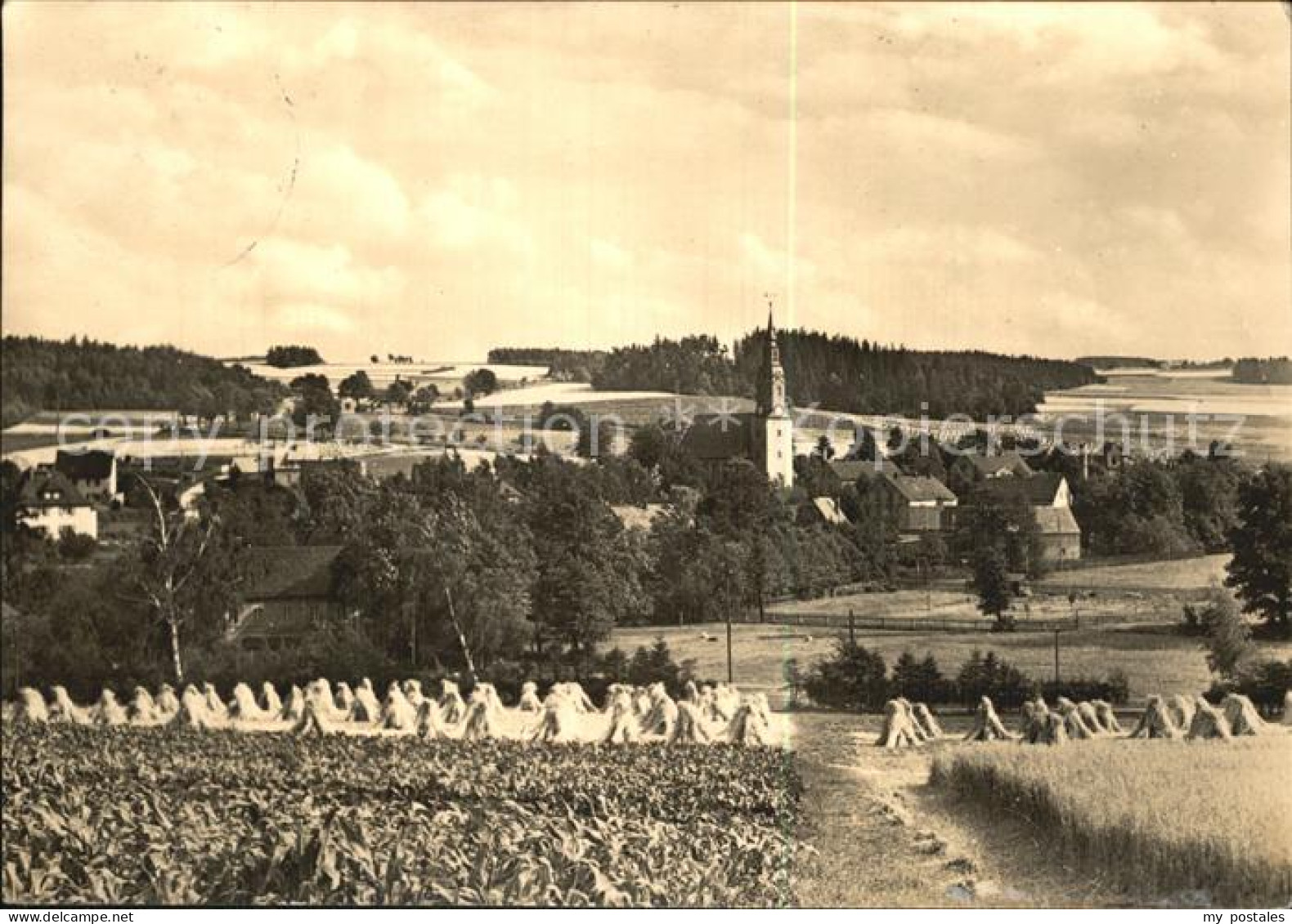Baerenwalde