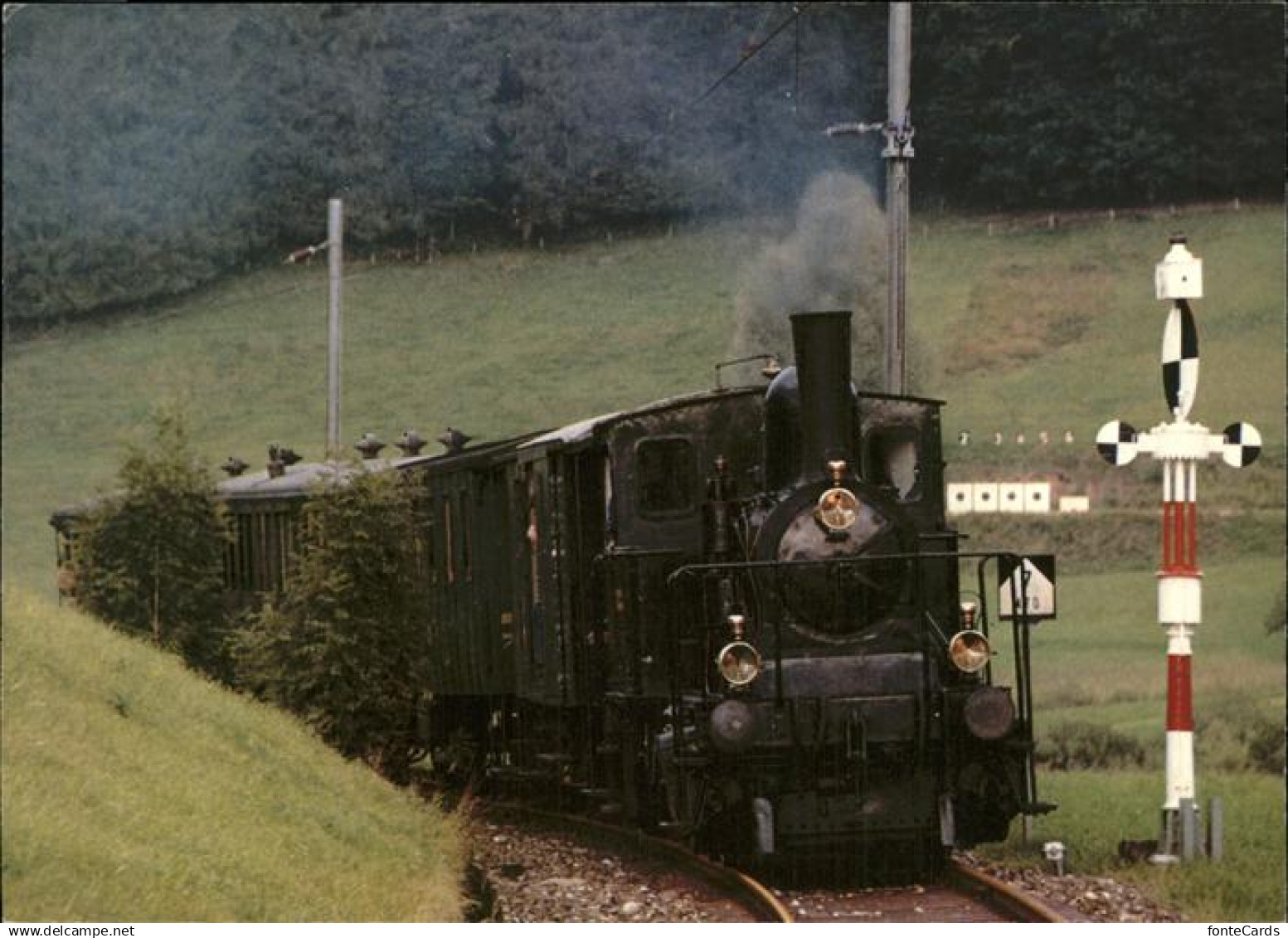 Baeretswil DVZO-Dampfzug