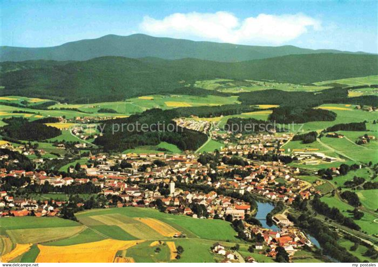 Baerndorf Regen Rachel Regen Luftbild Ortschaft Fluss Berge Wald Felder