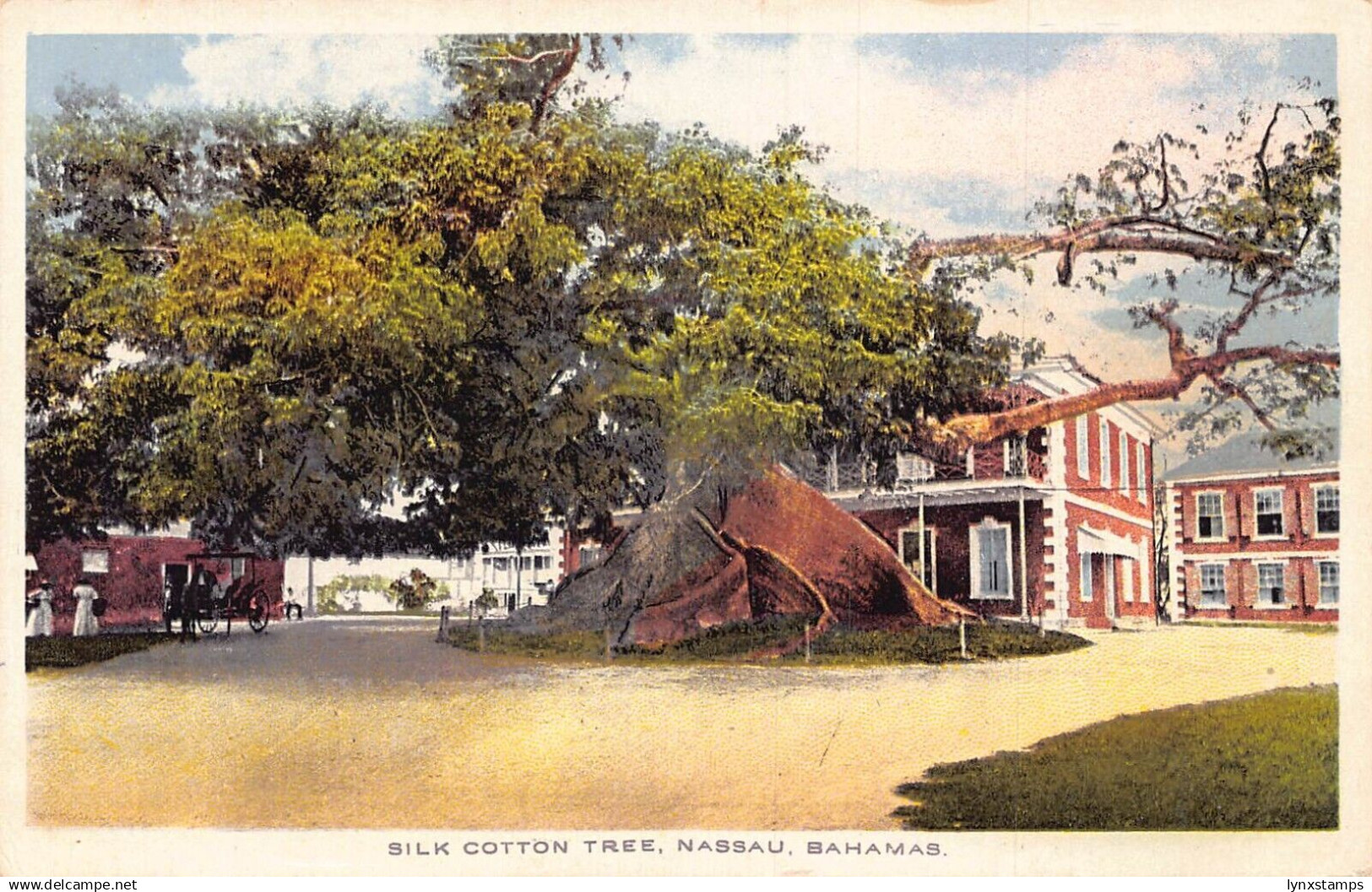 Bahamas Nassau Silk Cotton Tree vintage postcard