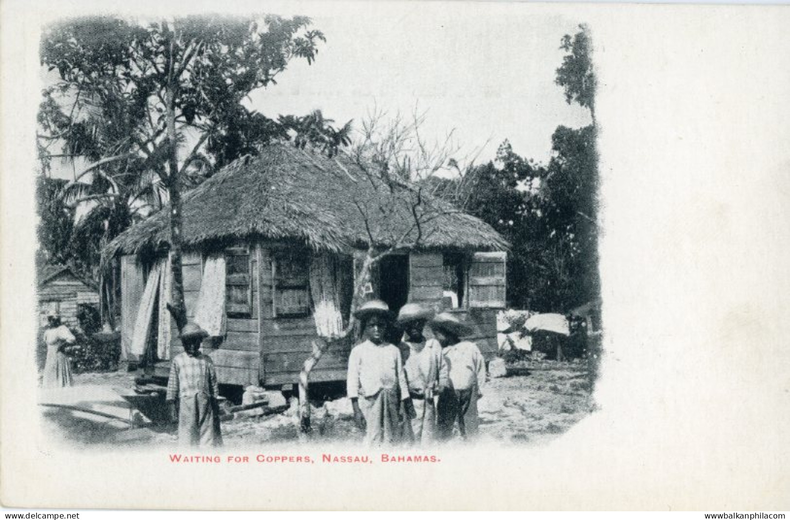 Bahamas Nassau Waiting for Coppers