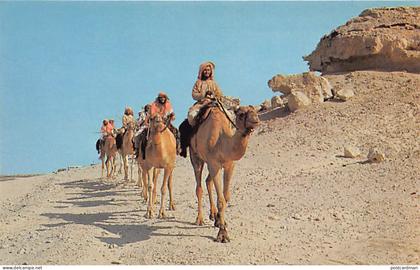 Bahrain - Camel caravan - Publ. Falcon Cinephoto