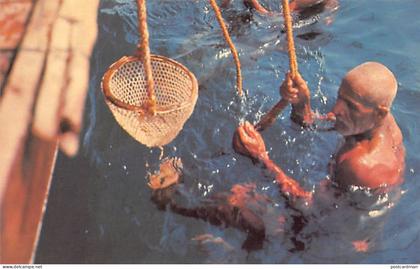 Bahrain - Pearl diver - Publ. Falcon Cinephoto