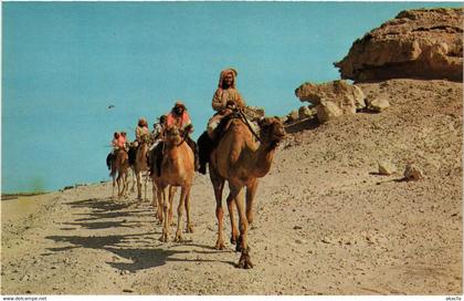 PC CPA BAHRAIN, BAHREIN, CAMEL CARAVAN, Modern Postcard (B3760)