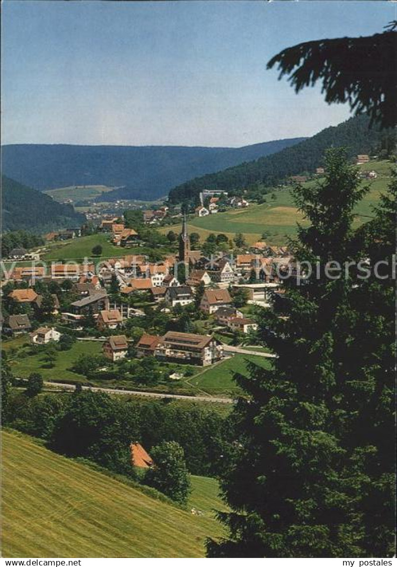 Baiersbronn Schwarzwald