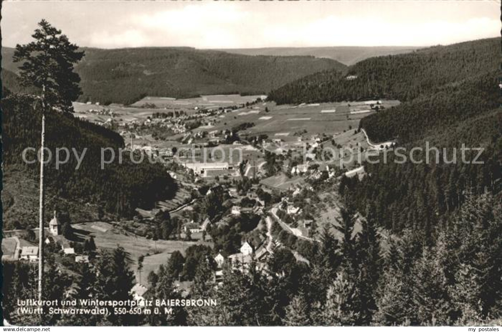 Baiersbronn Schwarzwald