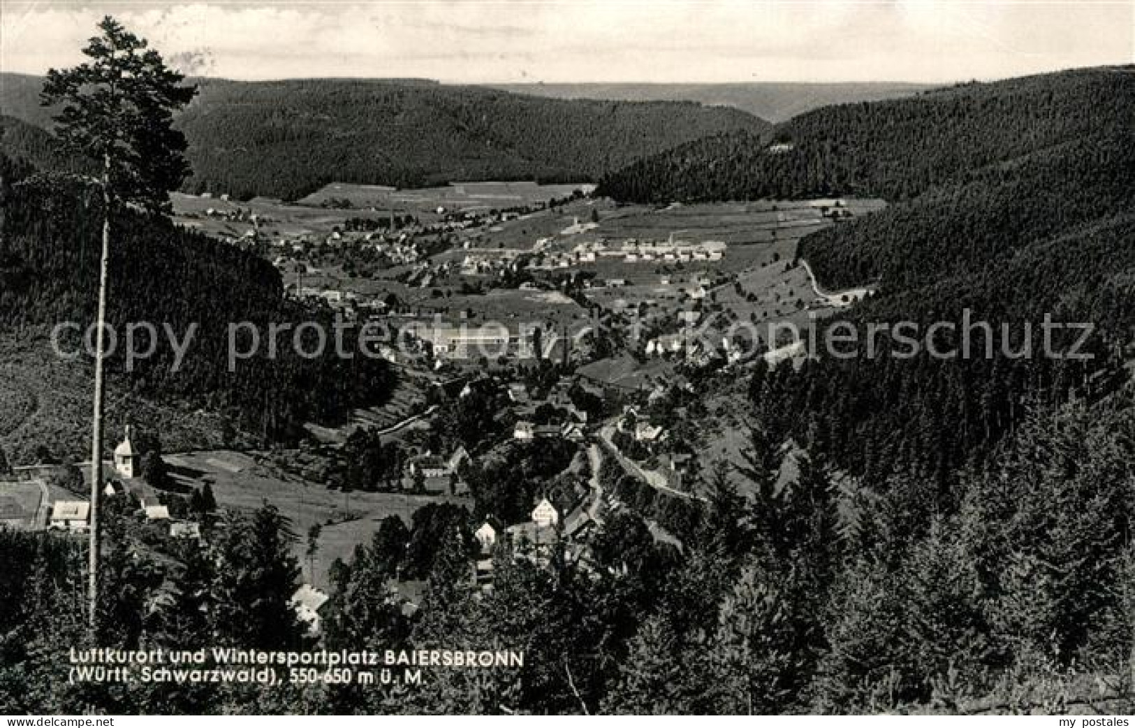 Baiersbronn Schwarzwald