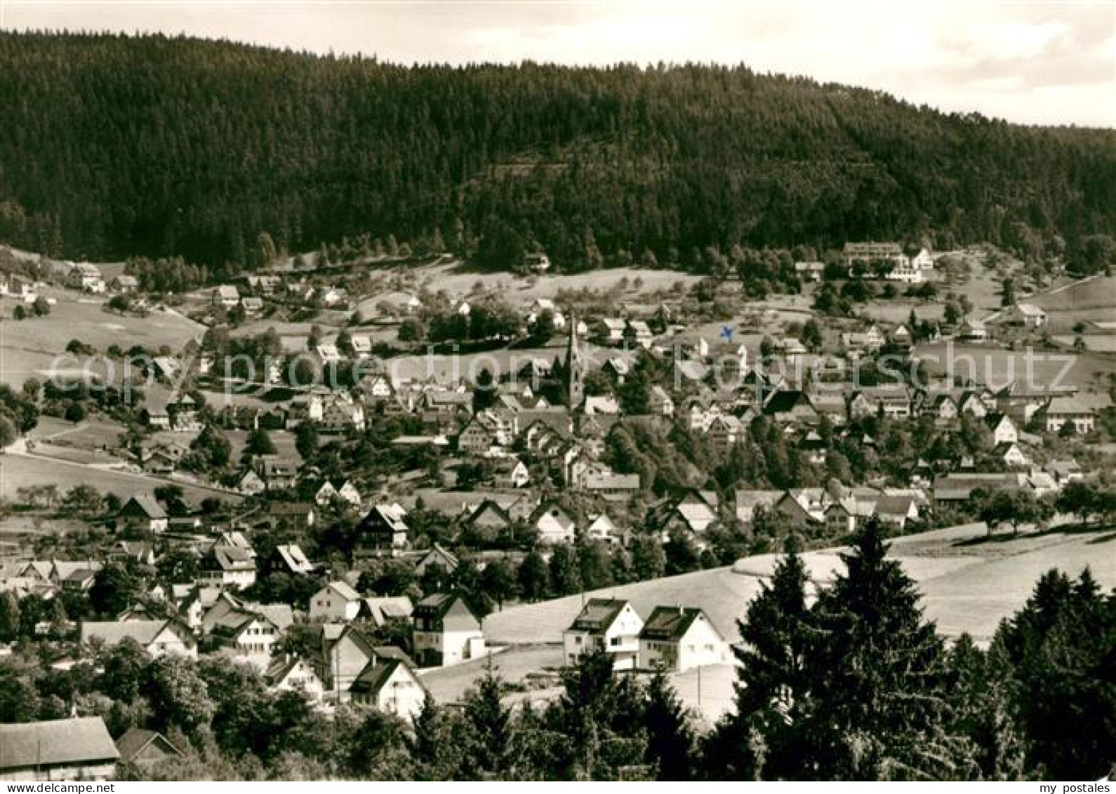 Baiersbronn Schwarzwald
