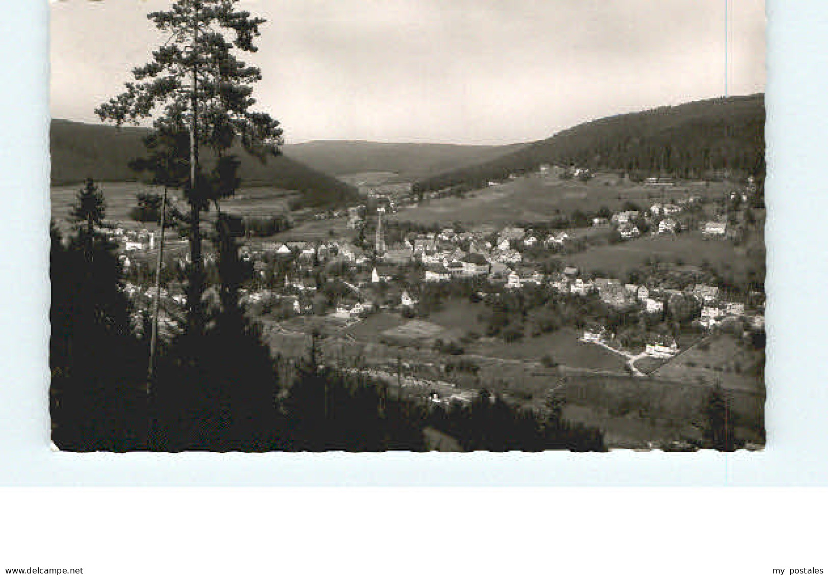 Baiersbronn Schwarzwald Baiersbronn