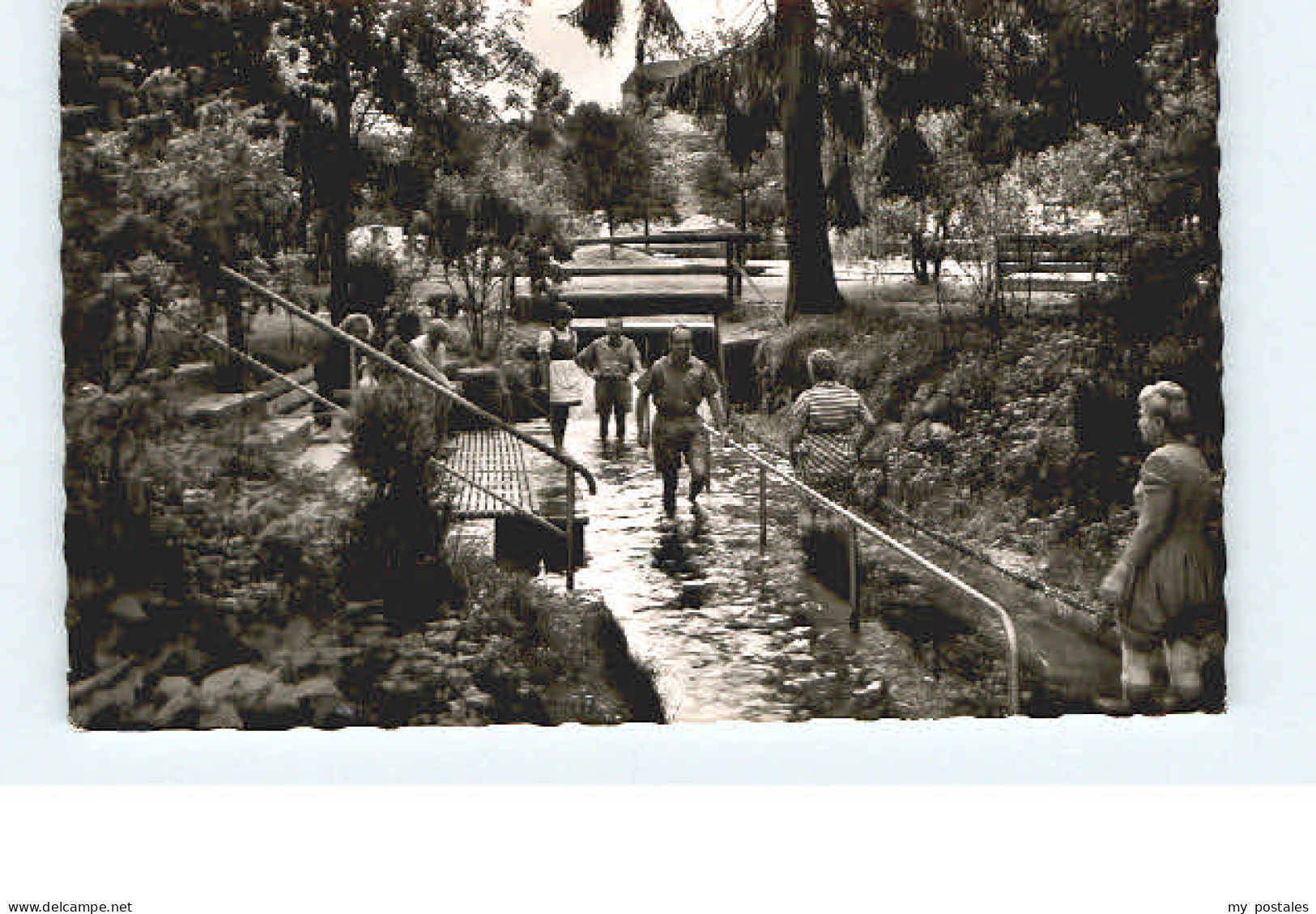 Baiersbronn Schwarzwald Baiersbronn Schoenmuenzach