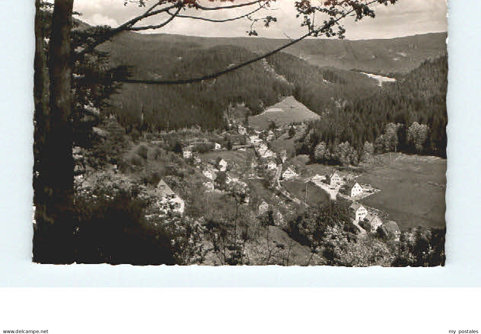 Baiersbronn Schwarzwald Baiersbronn Schoenmuenzach