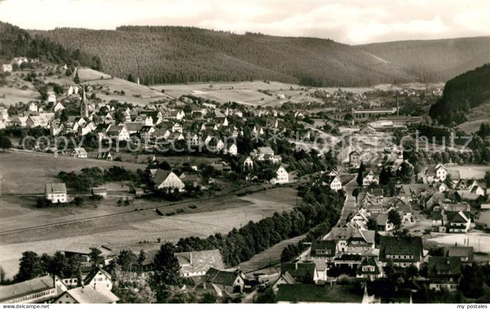 Baiersbronn Schwarzwald Panorama