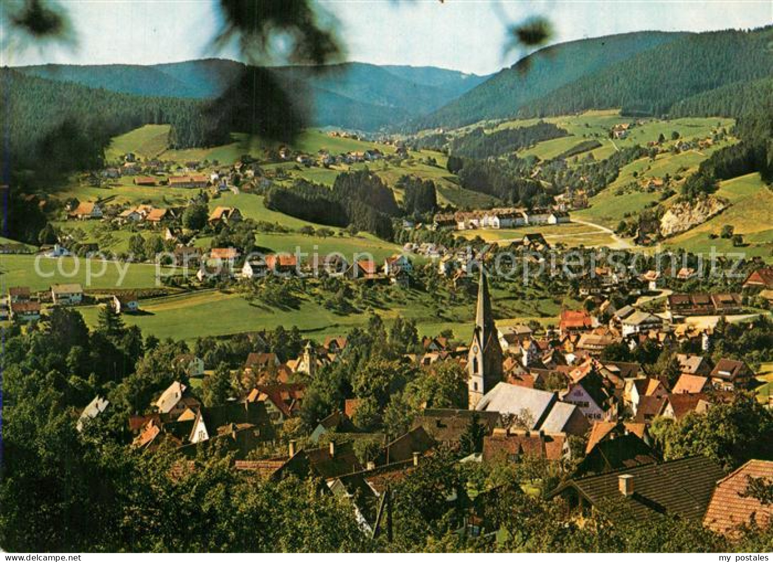 Baiersbronn Schwarzwald Panorama