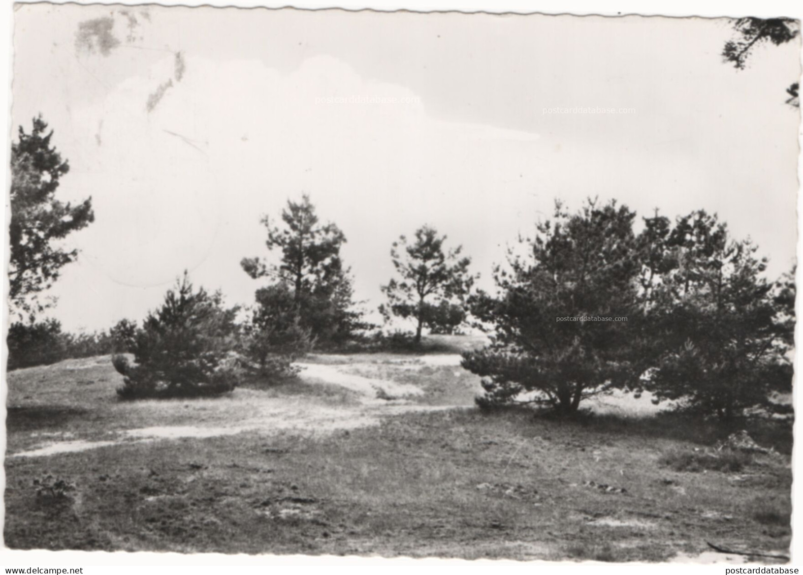 Balen - Wandelpaden Hulsen