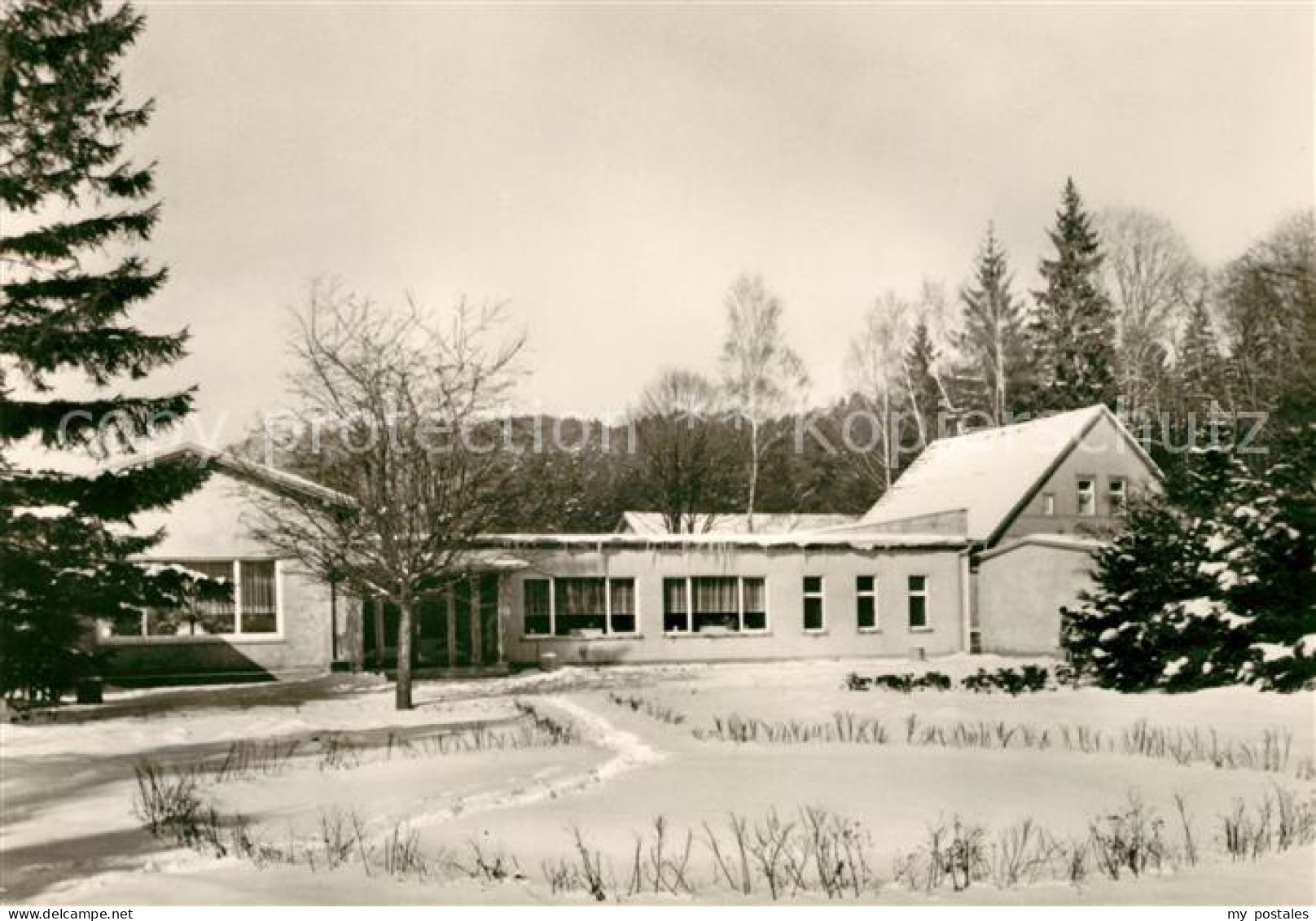 Ballenstedt Selkemuehle Winter