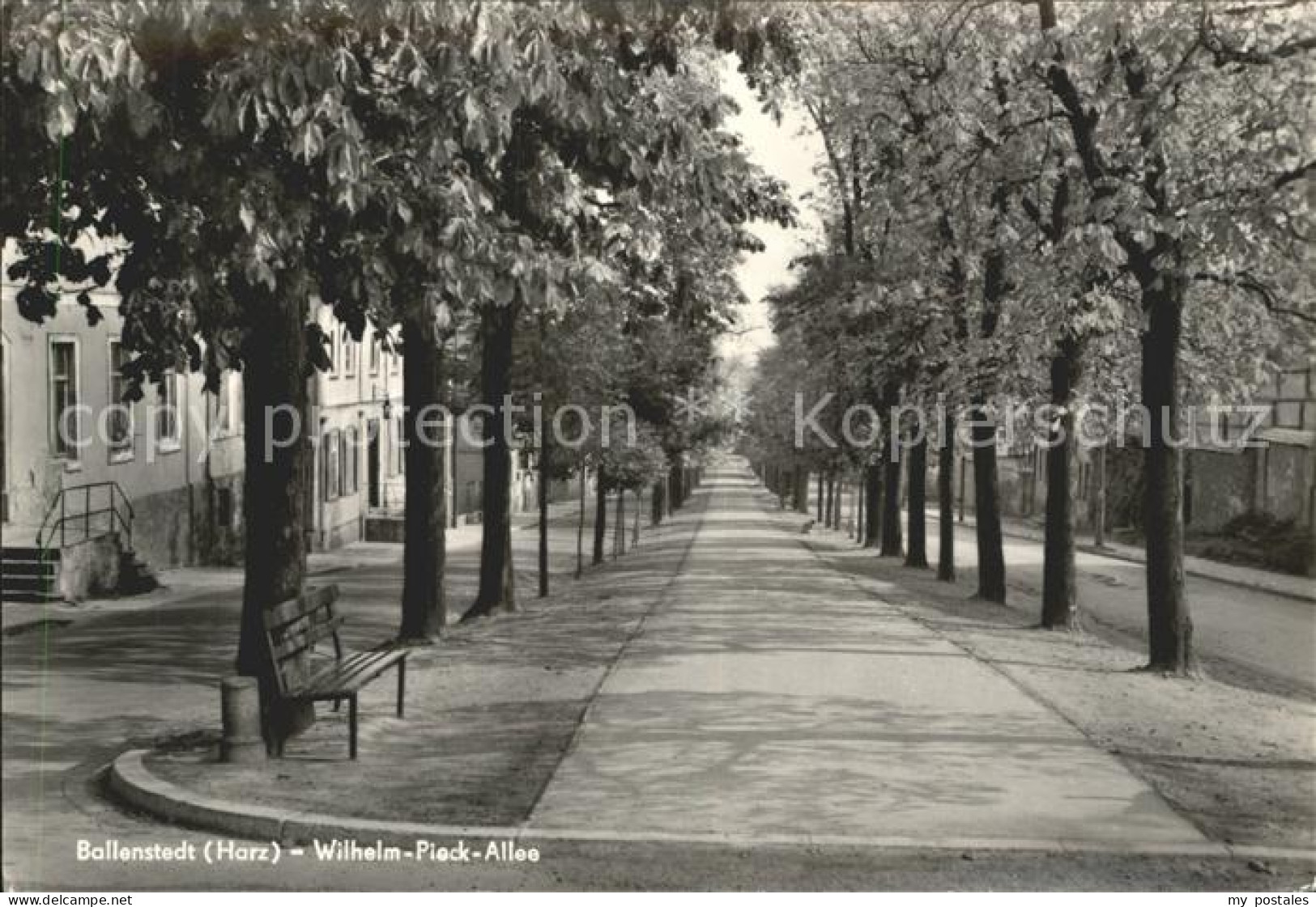 Ballenstedt Wilhelm Pieck Allee