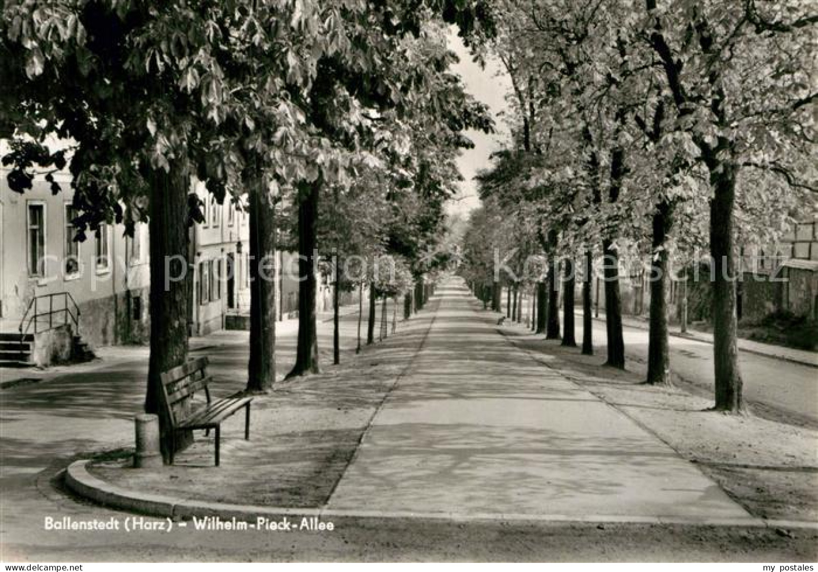 Ballenstedt Wilhelm-Pieck-Allee