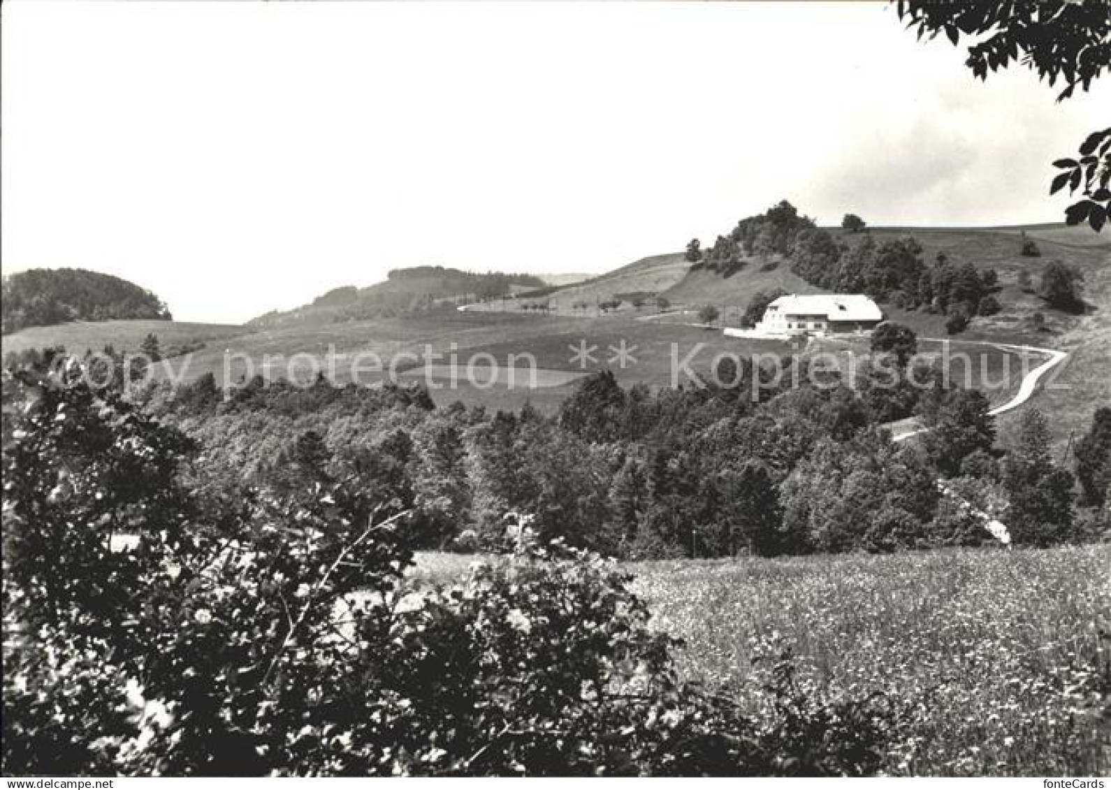 Balsthal Bergwirtschaft Alpenblick Brunnersberg