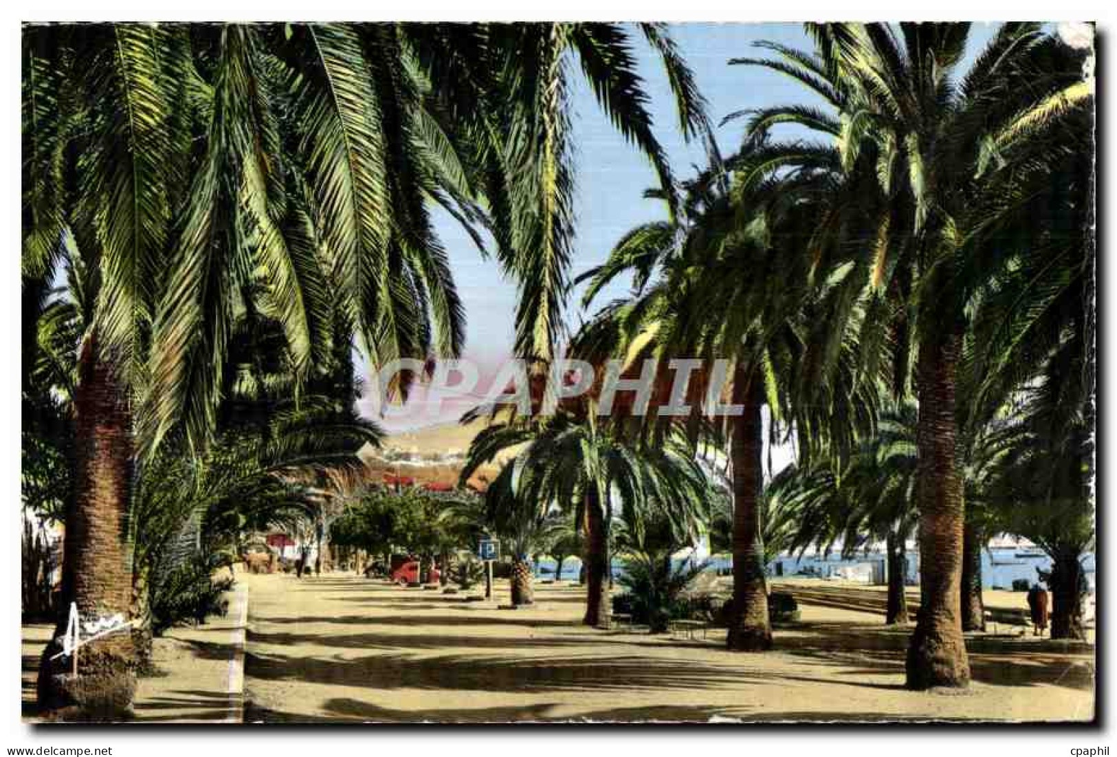 Bandol - Allees Alfred Vivien - CPA