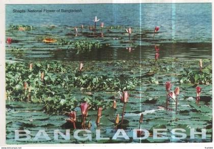 AK 258871 BANGLADESH - Shapla - National Flower of Bangladesh