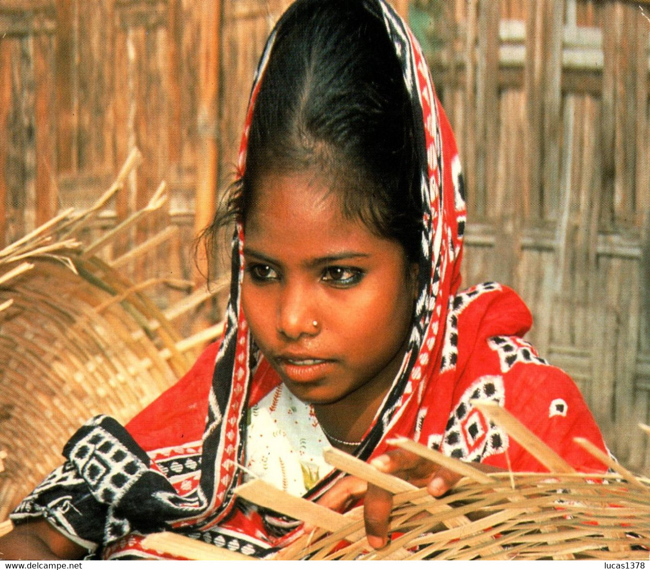 BANGLADESH - Photo Orchidées- CIRIC - Edité par le CCFD