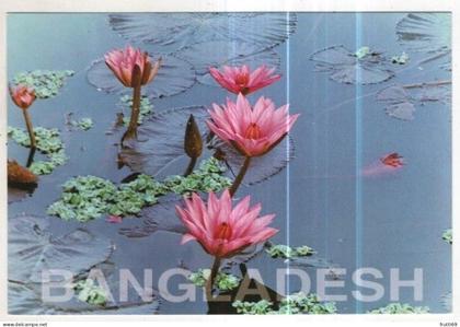 AK 258870 BANGLADESH