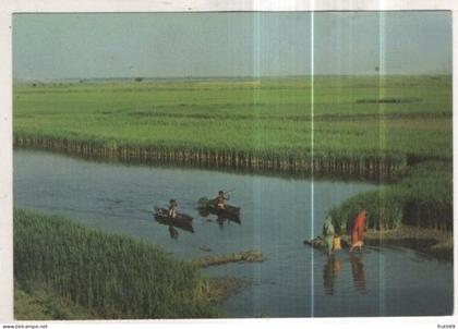 AK 258873 BANGLADESH - The green. green fields