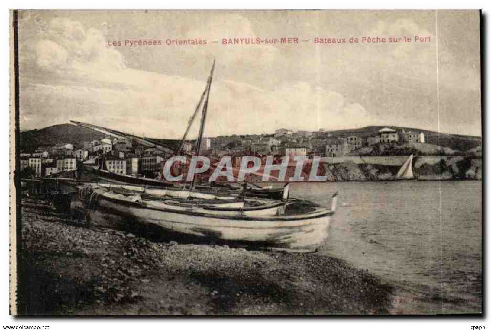 Banyuls sur Mer CPA Bateaux de peche sur le port