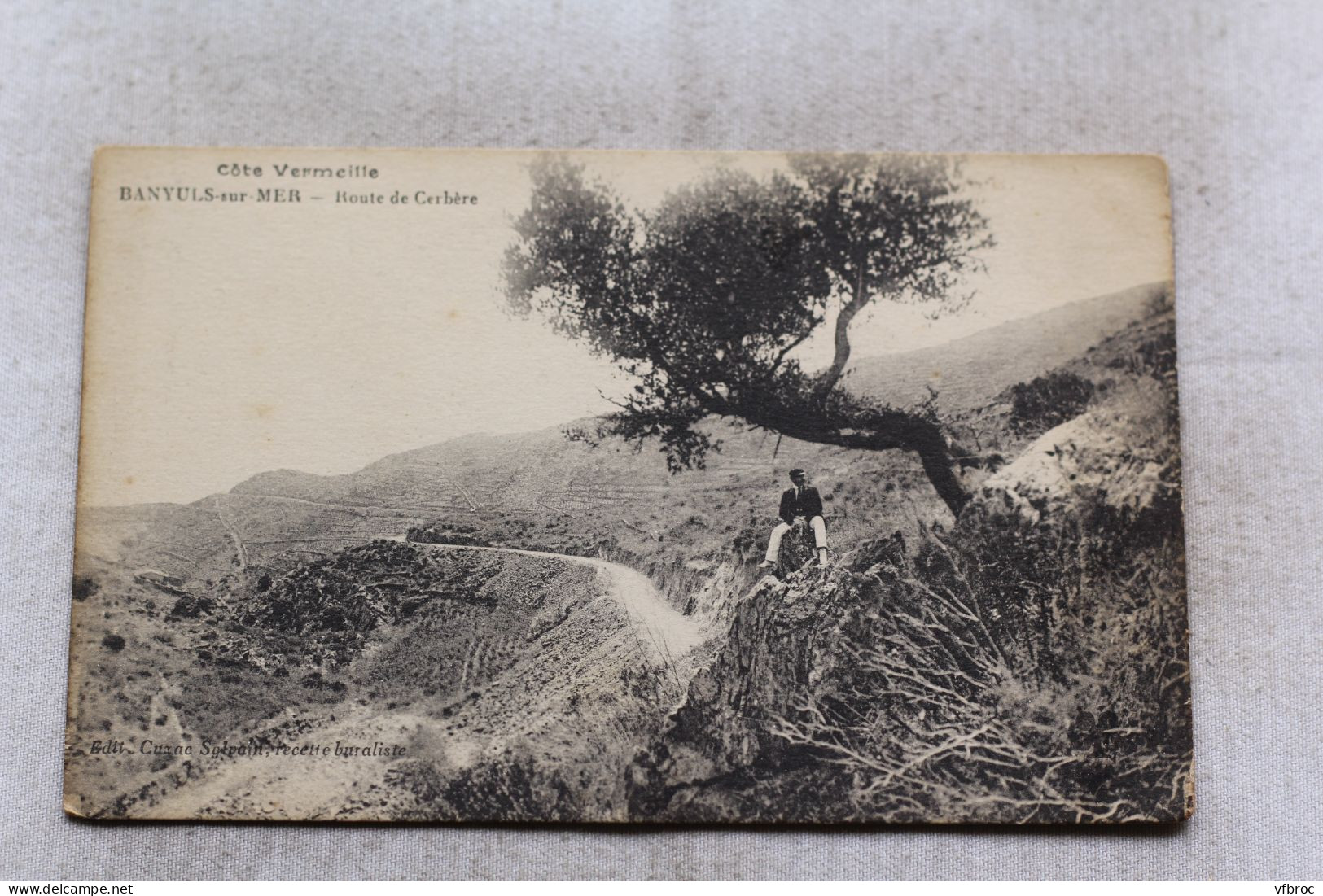 Banyuls sur mer, route de Cerbère, Pyrénées Orientales 66