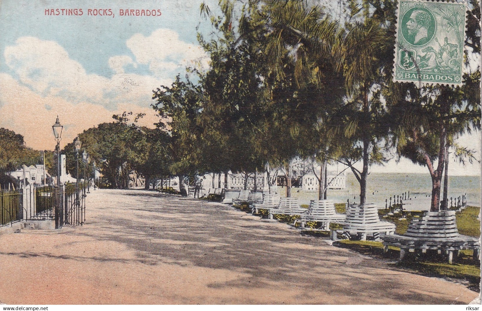 BARBADES(ARBRE)