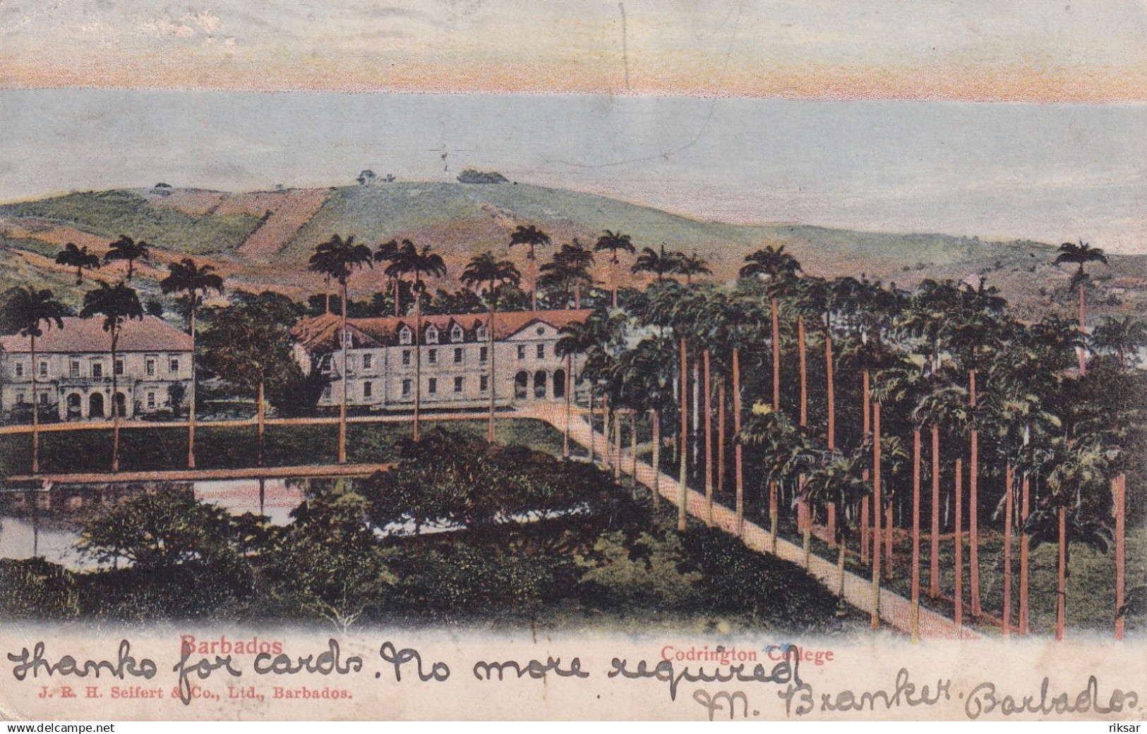 BARBADES(COLLEGE) ARBRE