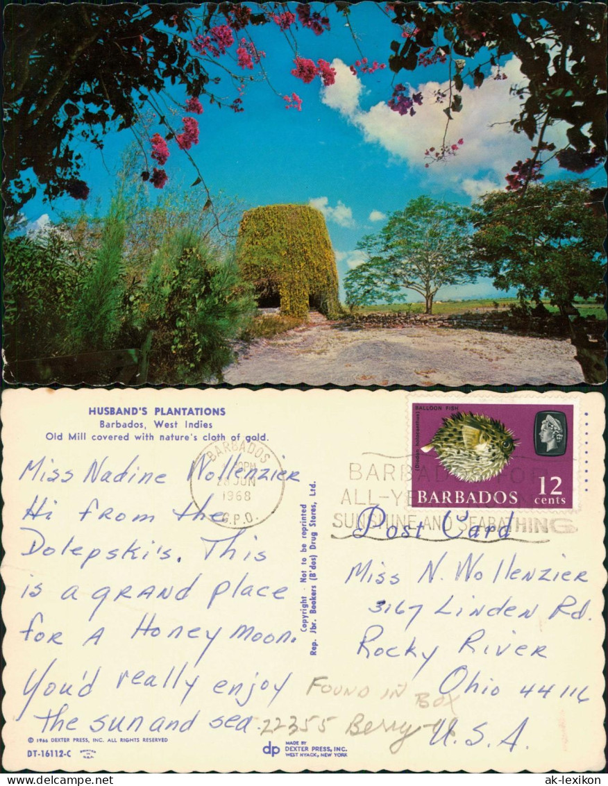 Barbados allgemein HUSBAND'S PLANTATIONS Barbados, West Indies 1968