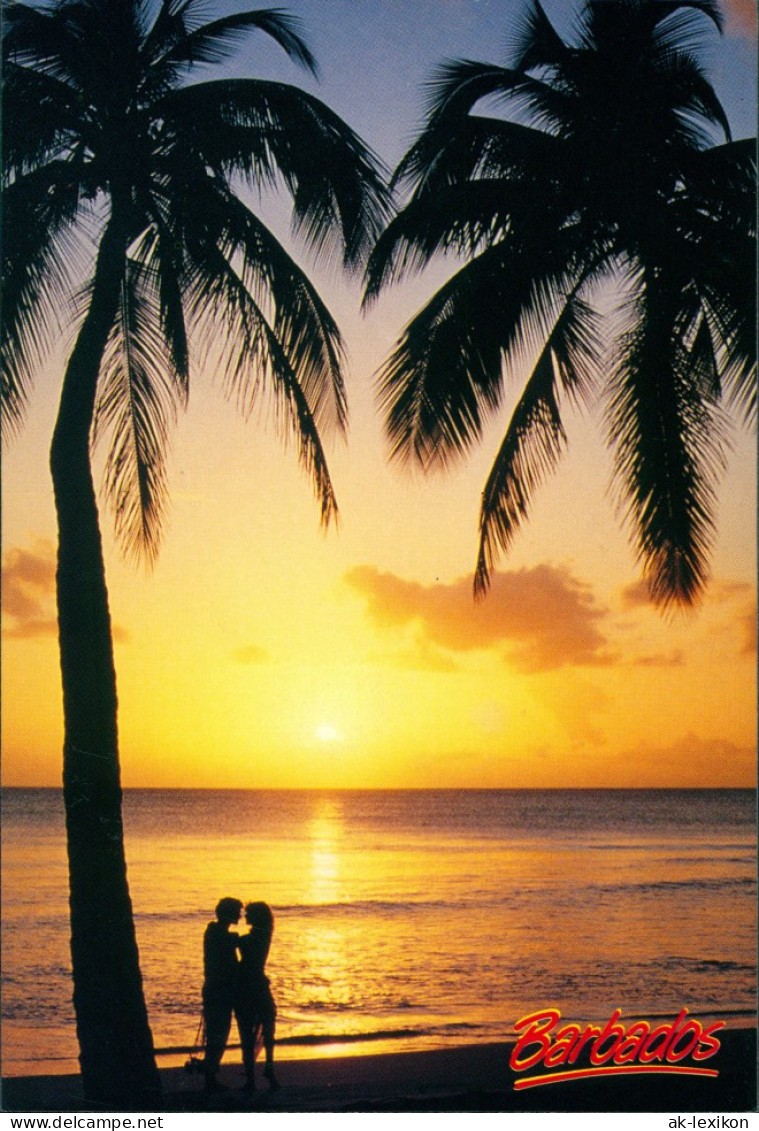 Barbados allgemein Romantic Sunset Palmen Sonnen-Untergang Barbados Karibik 1990