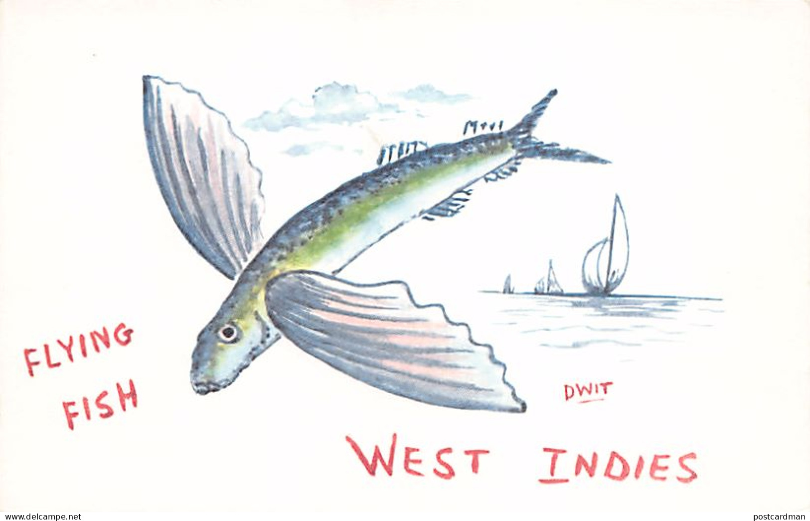 Barbados - Flying fish - Publ. Dwit