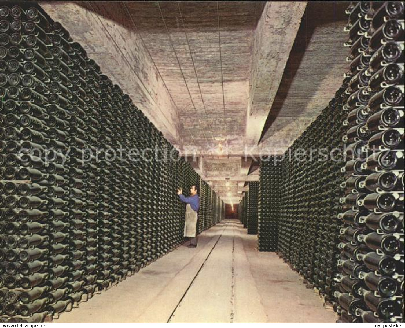 Barcelona Cataluna Cavas Codorniu Botellas envejeciendo