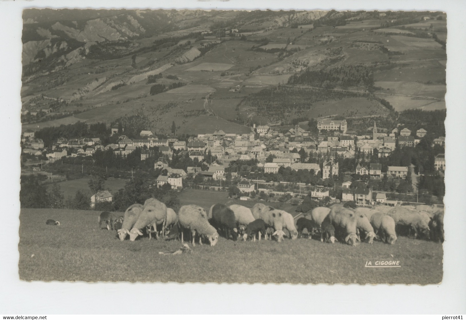 BARCELONNETTE - Vue générale (troupeau de moutons)