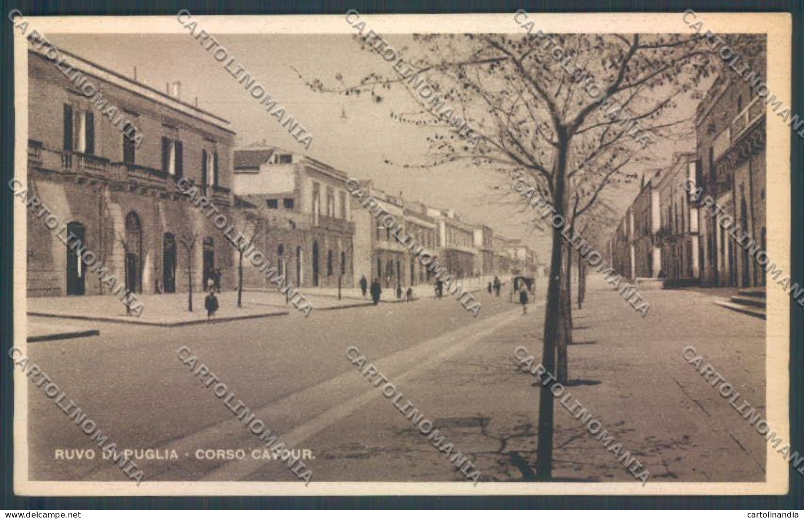 Bari Ruvo di Puglia cartolina ZB6018