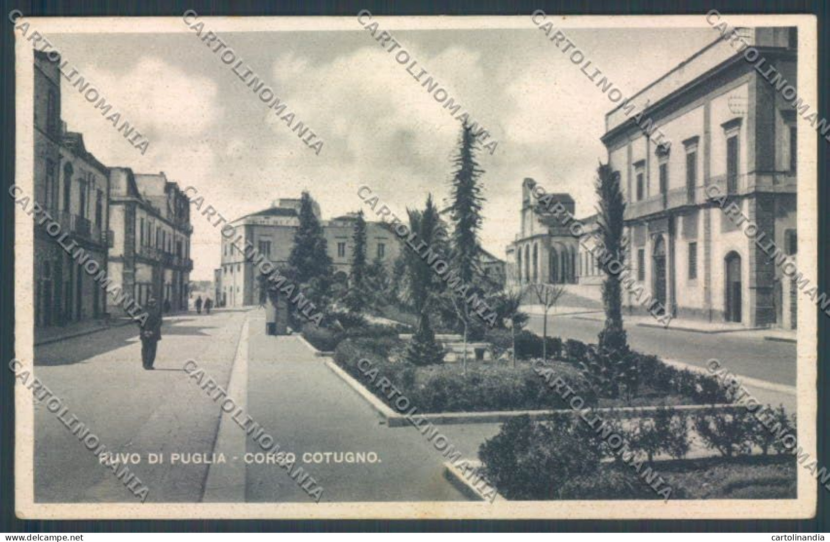 Bari Ruvo di Puglia cartolina ZB6019