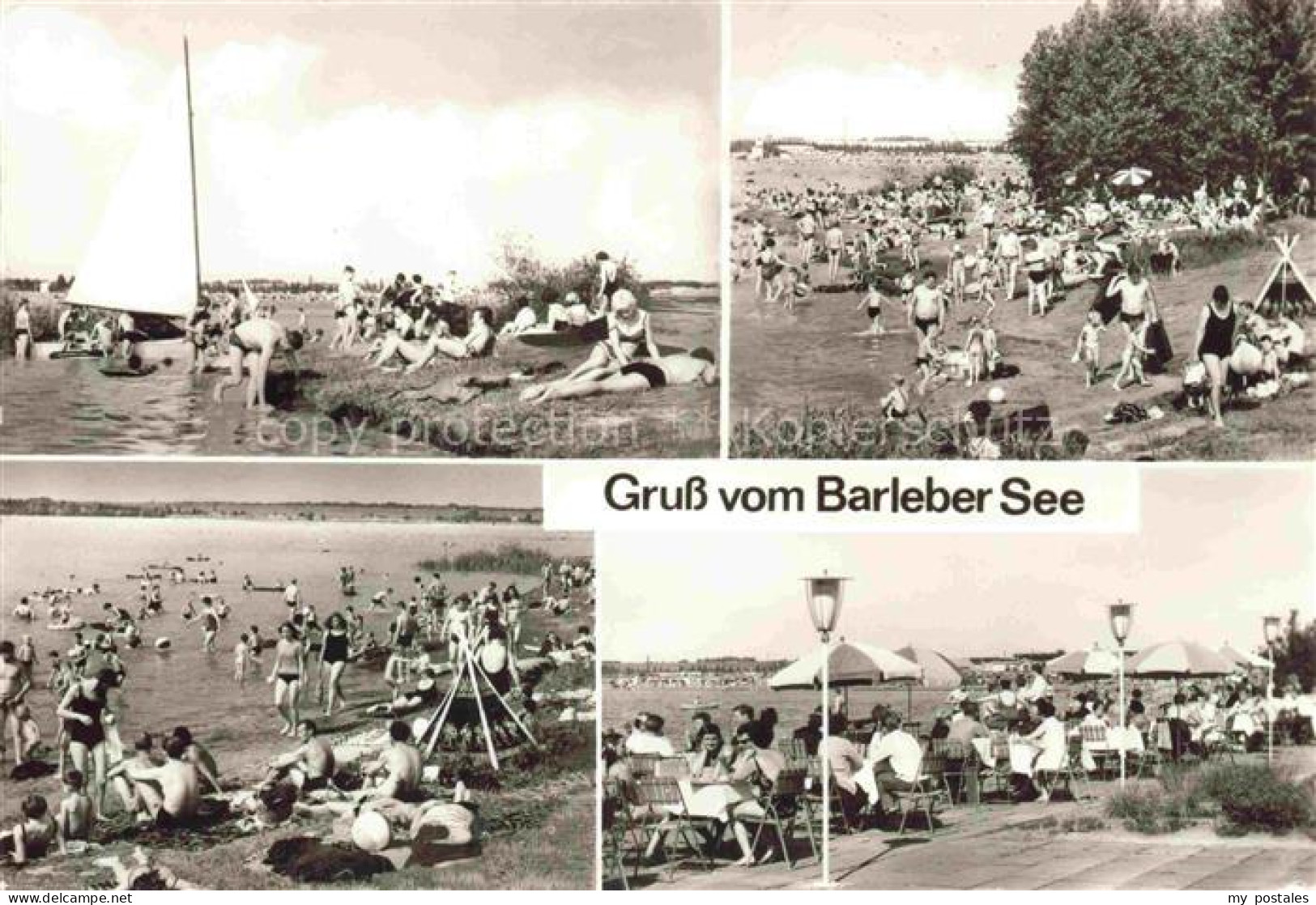 Barleber See Barleben Boerde Sachsen-Anhalt Strandpartien