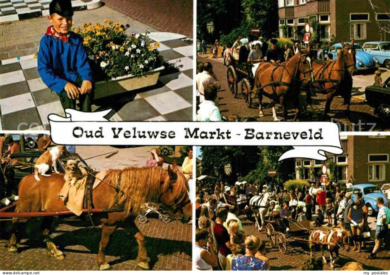 Barneveld Gelderland Pferdekutschen