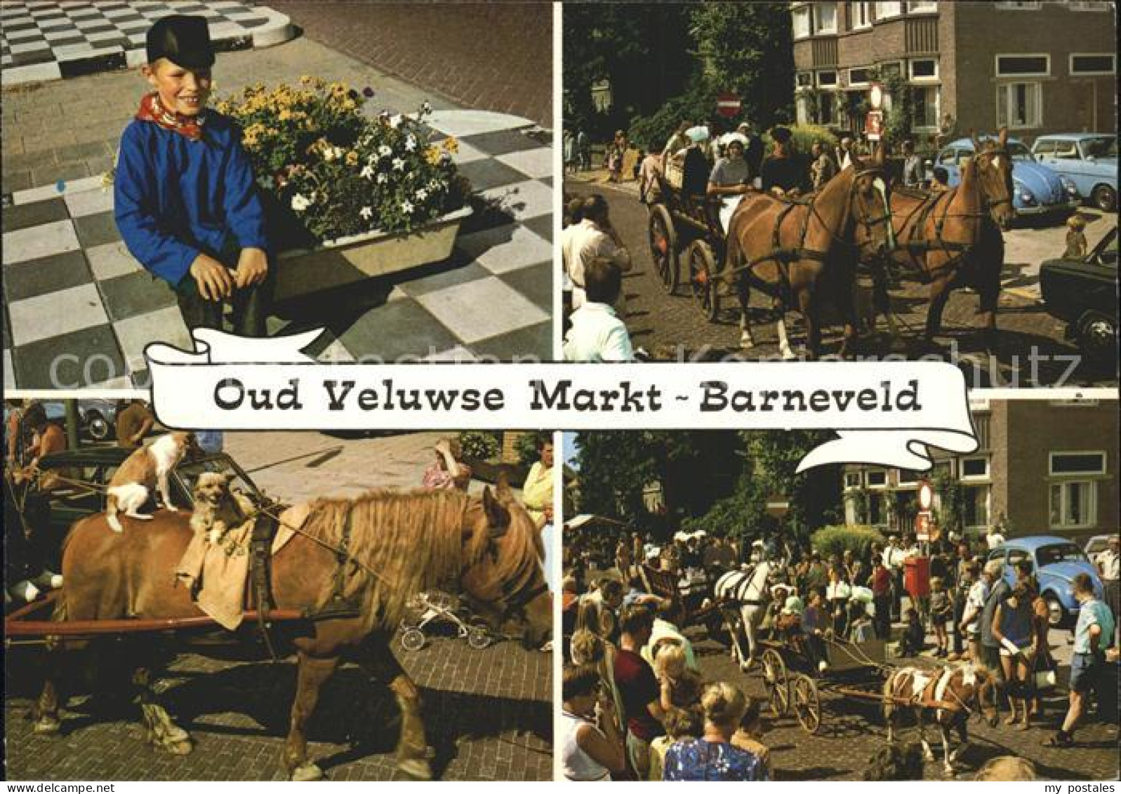 Barneveld Gelderland Veluwse Markt Pferd Hund