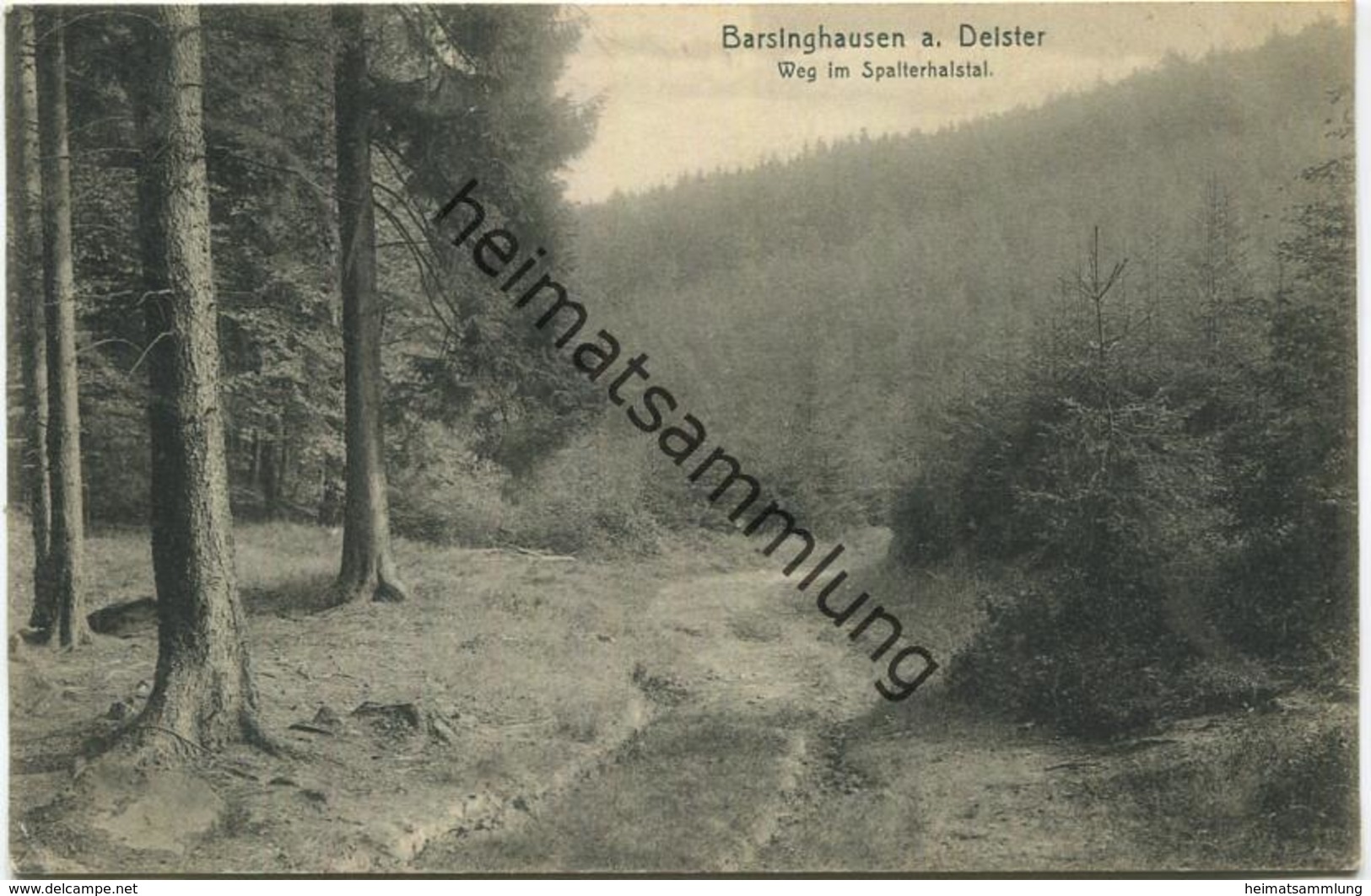 Barsinghausen am Deister - Weg im Spalterhalstal - Verlag August Brandes Barsinghausen - gel. 1909