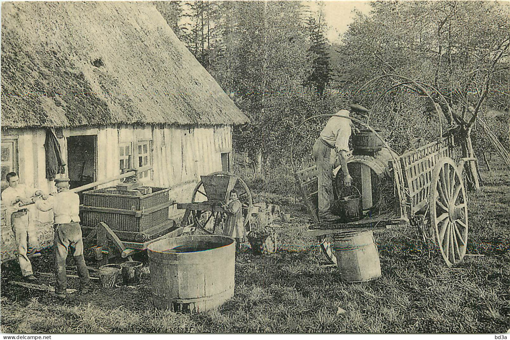 BASSE NORMANDIE - FABRICATION DU CIDRE - REPRODUCTION - CARTES D'AUTREFOIS