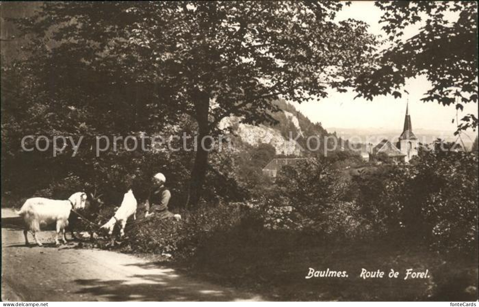 Baulmes Route de Forel