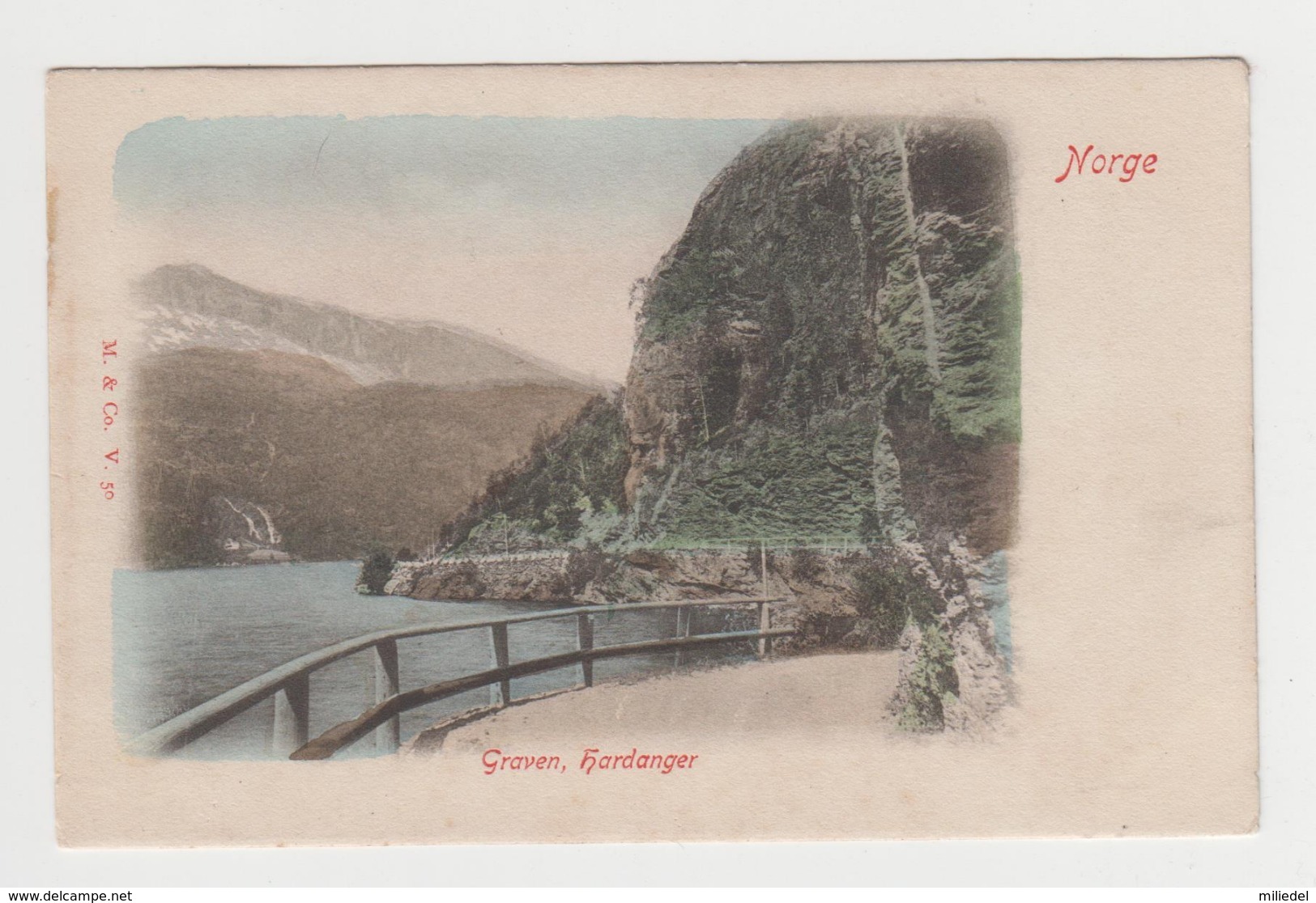 BB488 - NORGE - NORVEGE - NORWAY - Graven, Hardanger