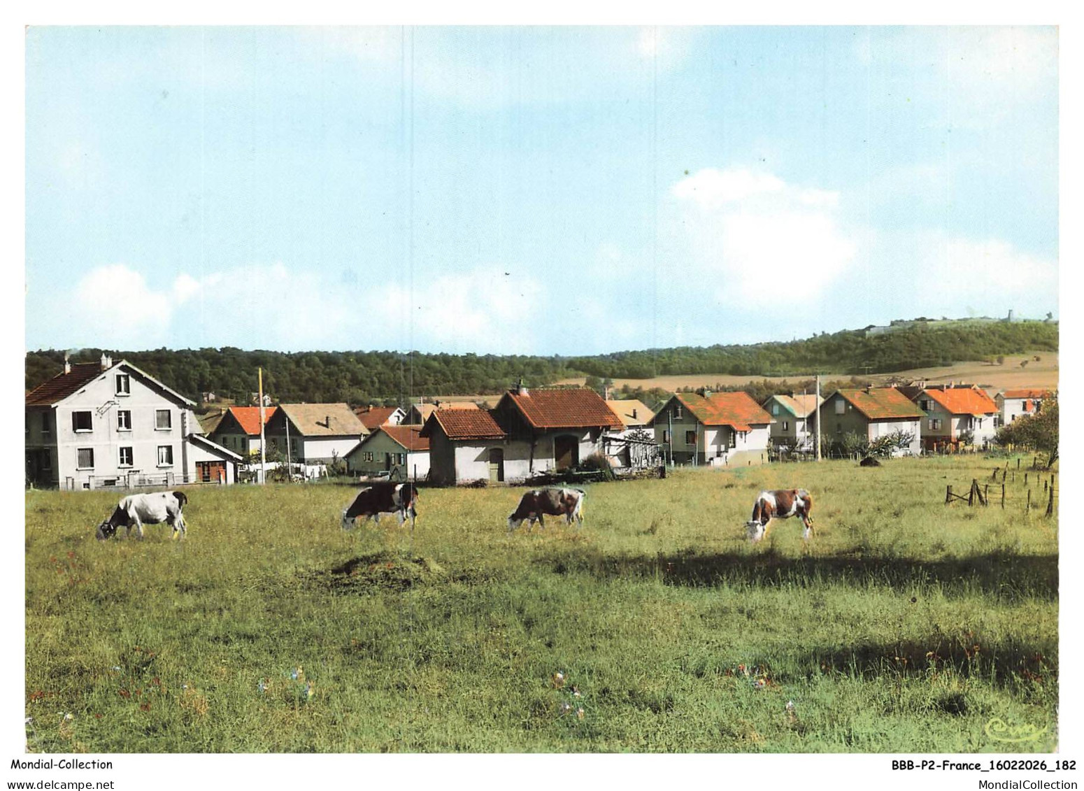 BBBP2-0227-90 - OFFEMONT - Paturages