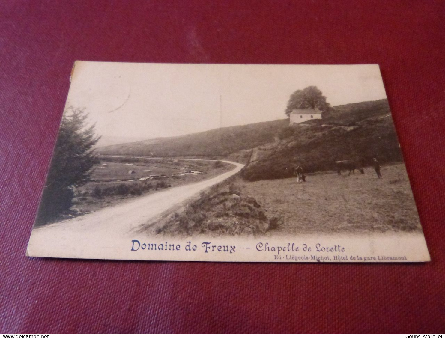 BC13-42 Cpa Domaine de Freux chapelle de Lorette Libramont Chevigny