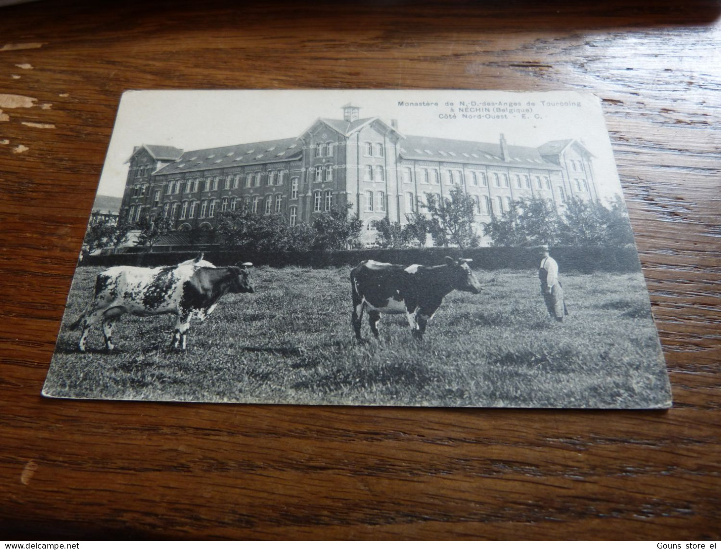 BC28-12  Cpa Estaimpuis Néchin Monastère de N.D.