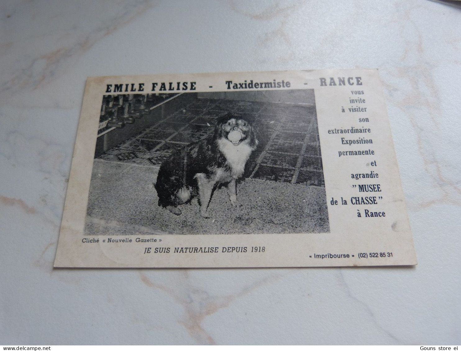 BC29-16 Cpa Sivry Rance Emile Falise Taxidermiste