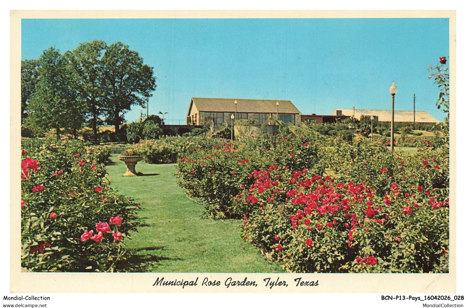 BCNP13-1005-ETATS-UNIS - TYLER - Municipal rose garden